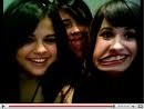 sel i demi