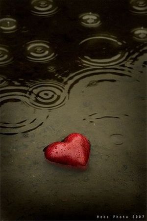 Сърце и дъжд