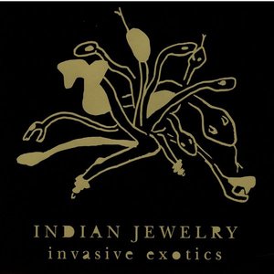 Indian Jewelry