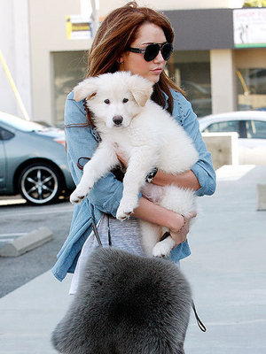miley