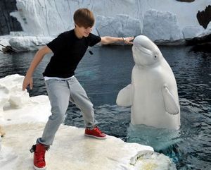 Justin Bieber