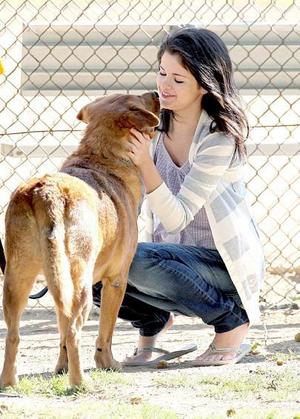 selena gomez and dogs
