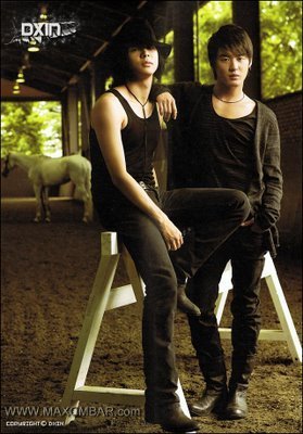 dbsk
