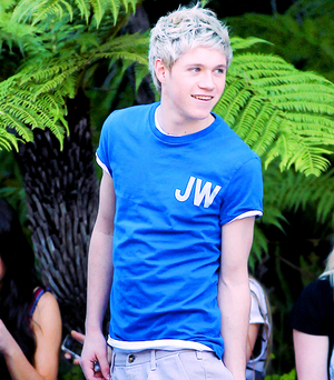 Niall Horan