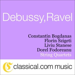 Constantin Bogdanas, Florin Szigeti, Liviu Stanese, Dorel Fodoreanu