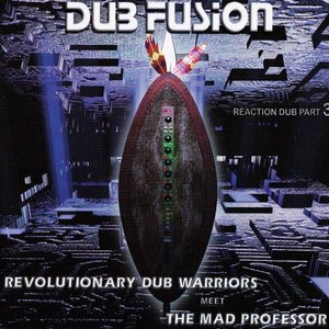 Revolutionary Dub Warriors Meet The Mad Professor
