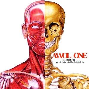 AWOL One