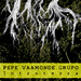 Pepe Vaamonde Grupo