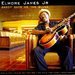 Elmore James Jr.