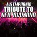 Neil Diamond Tribute