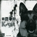 K-9
