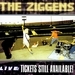 The Ziggens