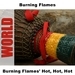 Burning Flames