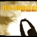 The Landslide