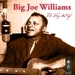 Big Joe Williams