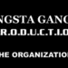 Gangsta Gangsta PRODUCTION Gangsta Gangsta PRODUCTION