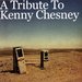 Various Artists - Kenny Chesney Tribute