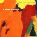 Daevid Allen & Solid Space