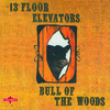 The 13th Floor Elevators