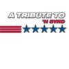 Various Artists - *NSYNC Tribute