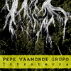 Pepe Vaamonde Grupo