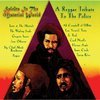 Tarrus Riley