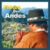 Les Groupes Folkloriques De Musique Des Andes