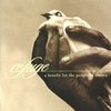 Various Artists-Refuge