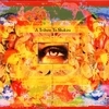 Various Artists - Shakira Tribute