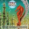 Ozric Tentacles