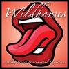 Wild Horses