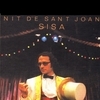 Sisa
