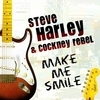 Steve Harley & Cockney Rebel