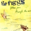 The Figgs
