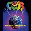 Chocolate Watchband