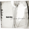 Black Kites