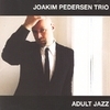 Joakim Pedersen Trio