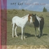 Amy Ray