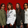 Whitesnake 2008