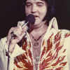 The King Elvis