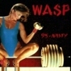 wasp (single) 95 nasty