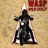 wasp (single) wild child