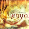 Various Artists - Enya Tribute