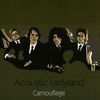 Acoustic Ladyland