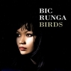 Bic Runga