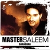 Master Saleem