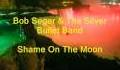 Bob Seger & The Silver Bullet Band - Shame On The Moon