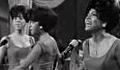the supremes where did our love go