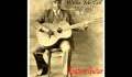 Ragtime Guitar : BLIND WILLIE MCTELL . 