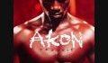 Akon-Trouble Nobody